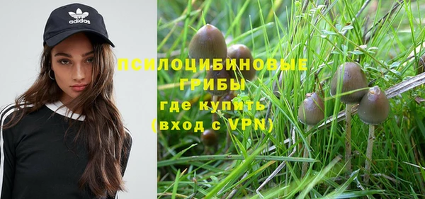 гидра Абинск